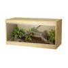 Vivexotic Reptihome Medium - Beech (PT4050) 2 Vivexotic Reptihome Medium - Beech (PT4050) -UK Pet Equipment Sales Store 1 15