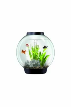 OASE BiOrb 30 Classic Aquarium (Black) With MCR Light 6 OASE BiOrb 30 Classic Aquarium (Black) With MCR Light -UK Pet Equipment Sales Store 45685