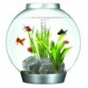 OASE BiOrb 30 Classic Aquarium (Silver) With MCR Light -UK Pet Equipment Sales Store 45690 1