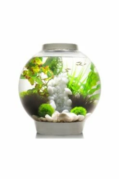 OASE BiOrb 30 Classic Aquarium MCR Light - White