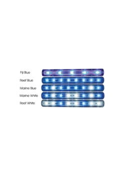 Fiji Blue LED, Single - TMC Aquaray Aquabeam 600 Ultima (2708-uk) -UK Pet Equipment Sales Store 600 ultima guide 2