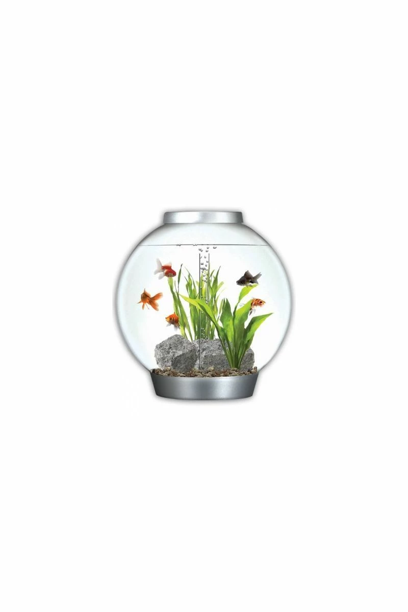 OASE BiOrb Classic 60 Aquarium With MCR LED (silver) 3 OASE BiOrb Classic 60 Aquarium With MCR LED (silver)