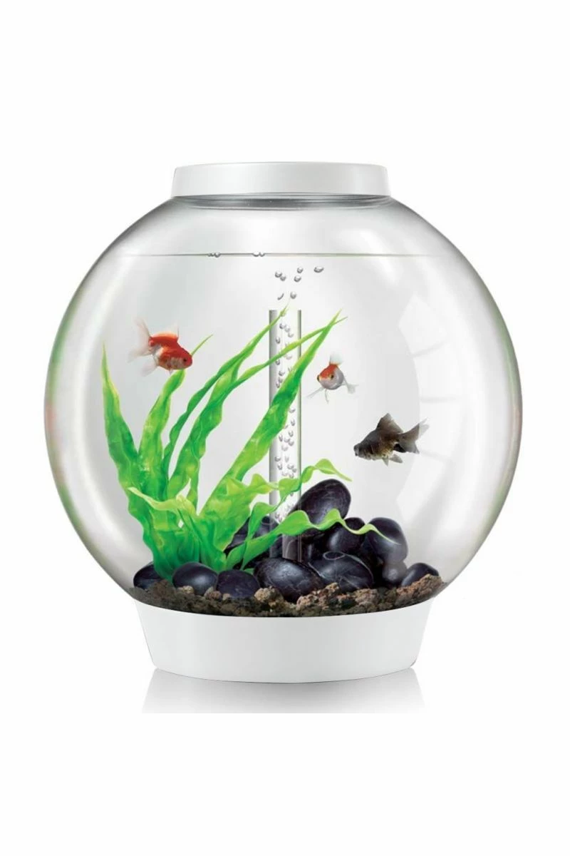 OASE BiOrb Classic 60 Aquarium With MCR LED (white) 3 OASE BiOrb Classic 60 Aquarium With MCR LED (white)