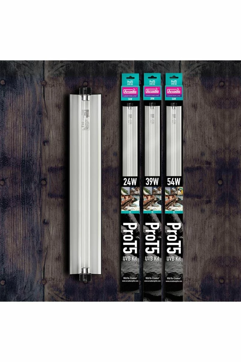 Arcadia Pro T5 UVB Kit, Desert, 12% UVB, 39 Watt 4 Arcadia Pro T5 UVB Kit, Desert, 12% UVB, 39 Watt - Image 2