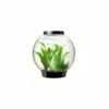 OASE Biorb Classic 15 Aquarium With MCR LED Light (Black) -UK Pet Equipment Sales Store baby biorb moonlight black1 1