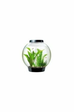 OASE Biorb Classic 15 Aquarium With MCR LED Light (Black)