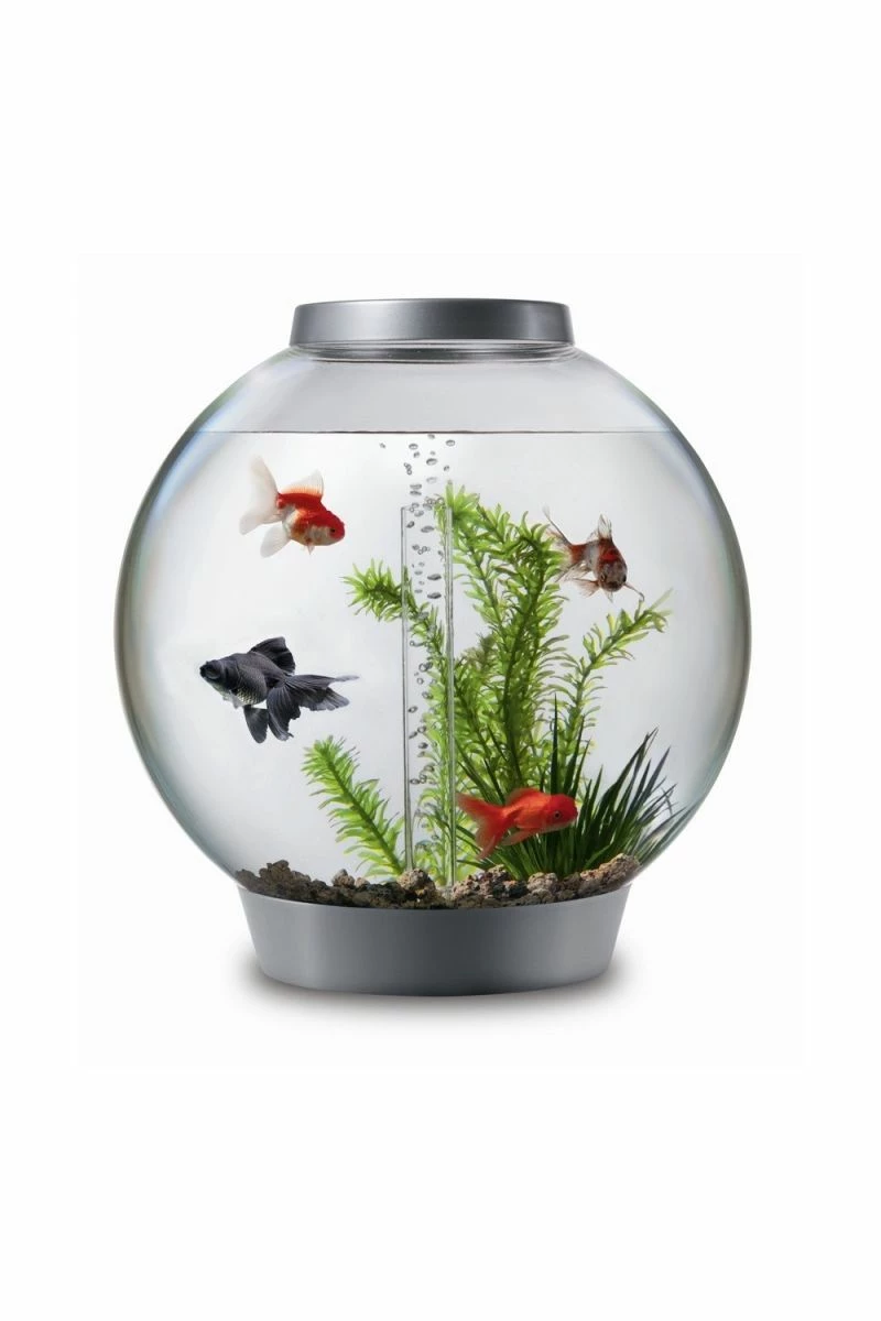 OASE Biorb Classic 15 Aquarium With MCR LED Light (Silver) 3 OASE Biorb Classic 15 Aquarium With MCR LED Light (Silver)