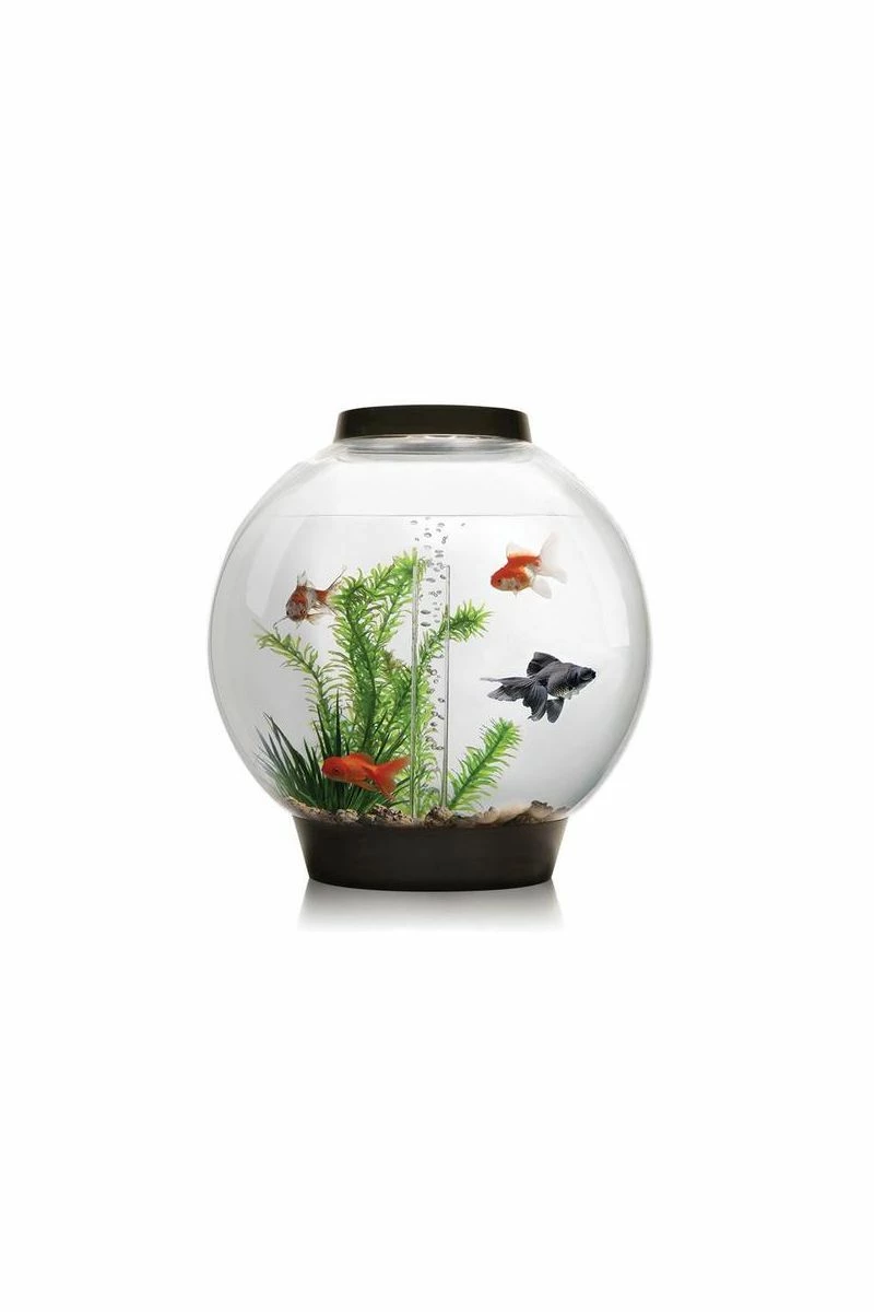 OASE BiOrb 30 Classic Aquarium (Black) With MCR Light 5 OASE BiOrb 30 Classic Aquarium (Black) With MCR Light - Image 3