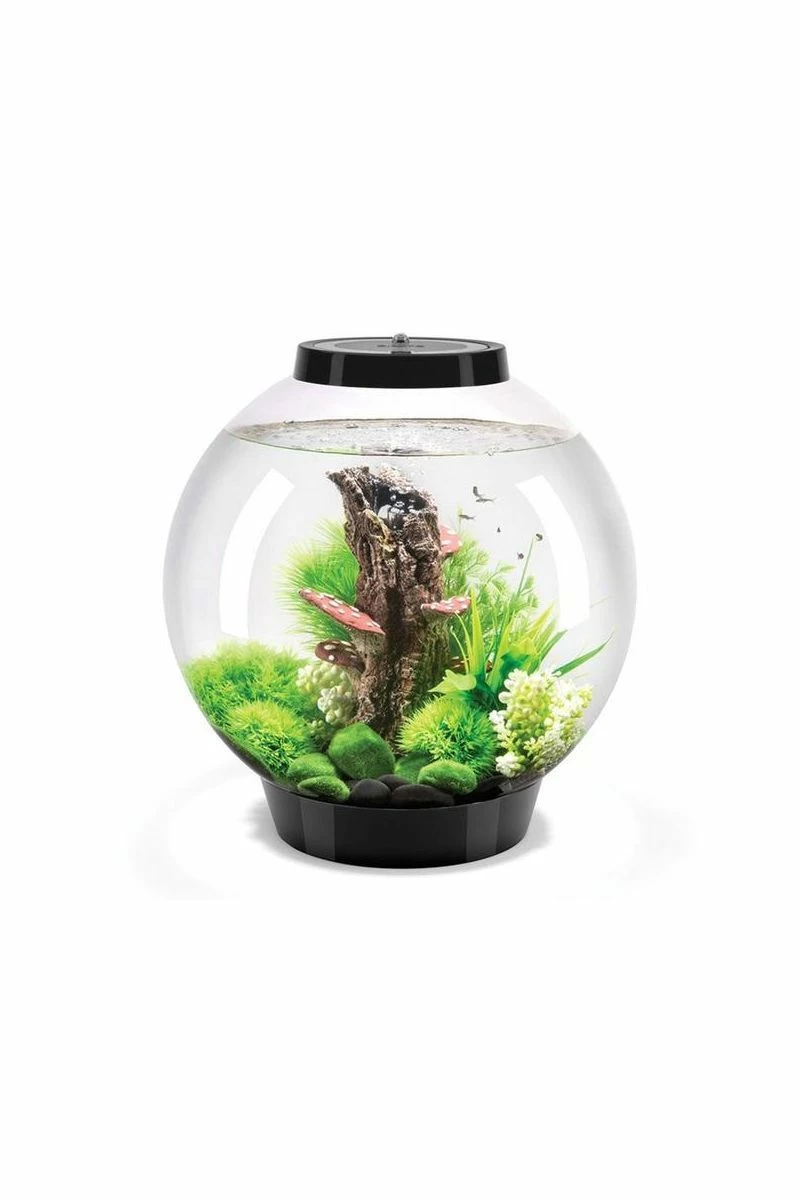 OASE BiOrb 30 Classic Aquarium (Black) With MCR Light 3 OASE BiOrb 30 Classic Aquarium (Black) With MCR Light