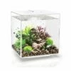 OASE BiOrb Cube 30 MCR White 1 OASE BiOrb Cube 30 MCR White -UK Pet Equipment Sales Store biorb cube 30 white