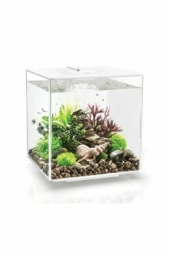 OASE BiOrb Cube 30 MCR White