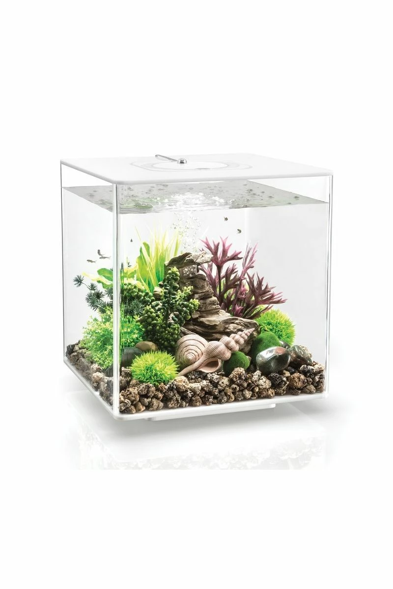 OASE BiOrb Cube 30 MCR White 3 OASE BiOrb Cube 30 MCR White