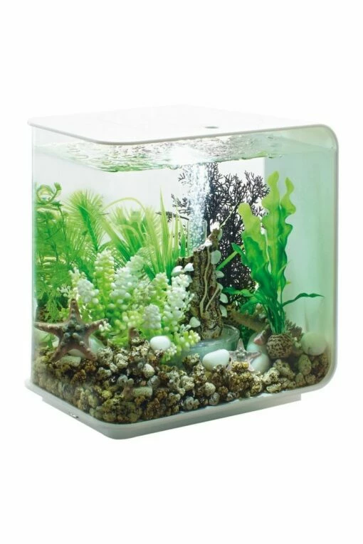 OASE Biorb Flow 15 Aquarium With MCR LED Light (White) 8 OASE Biorb Flow 15 Aquarium With MCR LED Light (White) -UK Pet Equipment Sales Store biorb flow 15 white