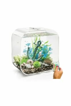 OASE Biorb Life 30 Clear Aquarium With MCR LED Light -UK Pet Equipment Sales Store biorb life 30 clear aquarium mcr led