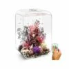 OASE Biorb Life 45 Clear Aquarium With MCR LED Light -UK Pet Equipment Sales Store biorb life 45 clear aquarium mcr led
