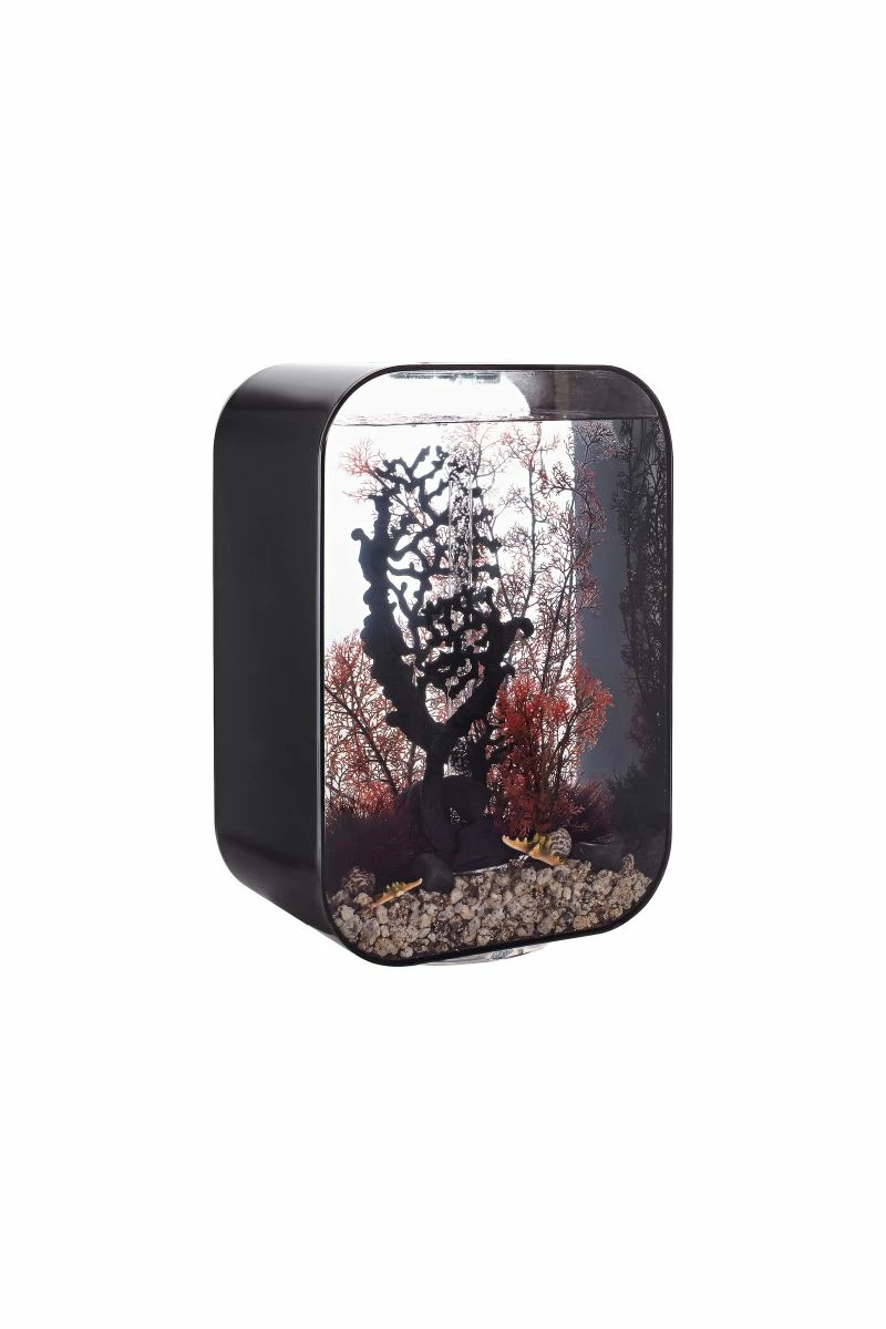 OASE Biorb Life 45 Aquarium With MCR LED Light - Black 3 OASE Biorb Life 45 Aquarium With MCR LED Light - Black