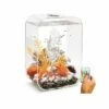 OASE Biorb Life 60 Clear Aquarium With MCR LED Light 2 OASE Biorb Life 60 Clear Aquarium With MCR LED Light -UK Pet Equipment Sales Store biorb life 60 clear aquarium mcr led