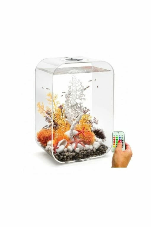 OASE Biorb Life 60 Clear Aquarium With MCR LED Light 5 OASE Biorb Life 60 Clear Aquarium With MCR LED Light -UK Pet Equipment Sales Store biorb life 60 clear aquarium mcr led