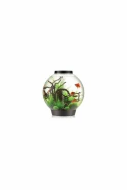 OASE BiOrb 105 Aquarium With MCR LED Light - Black