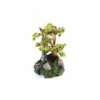 Classic Bonsai Tree - BiOrb 30 Or Life 30