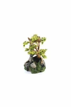 Classic Bonsai Tree - BiOrb 30 Or Life 30