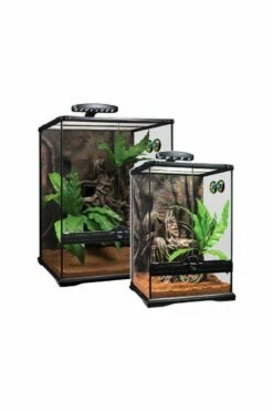 Exo Terra Crested Gecko Kit Size Large PT3779 -UK Pet Equipment Sales Store crested gecko terrarium 1
