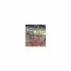 Freshwater Live Food Mix Pack - 15 Daphnia & 15 Bloodworm (99p Each) -UK Pet Equipment Sales Store daphbwlfhalfhalf 6 1 1