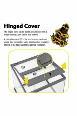 Exo Terra Dart Frog Glass Terrarium 45x45x45cm 11 Exo Terra Dart Frog Glass Terrarium 45x45x45cm -UK Pet Equipment Sales Store dartfrog3