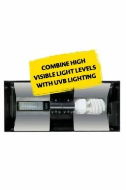 Exo Terra Deep Forest LED 8w - 4500k -UK Pet Equipment Sales Store deep forest2