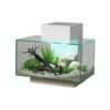 Fluval Edge 2.0 Aquarium 23 Litre - Gloss White 2 Fluval Edge 2.0 Aquarium 23 Litre - Gloss White -UK Pet Equipment Sales Store dge23white