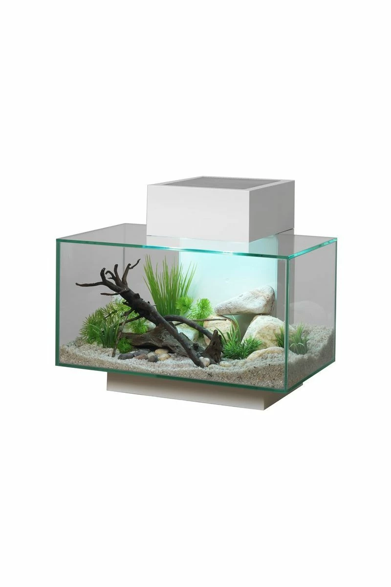 Fluval Edge 2.0 Aquarium 23 Litre - Gloss White 3 Fluval Edge 2.0 Aquarium 23 Litre - Gloss White