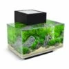 Fluval Edge 2.0 Aquarium 23 Litre - Gloss Black 2 Fluval Edge 2.0 Aquarium 23 Litre - Gloss Black -UK Pet Equipment Sales Store dgeblack
