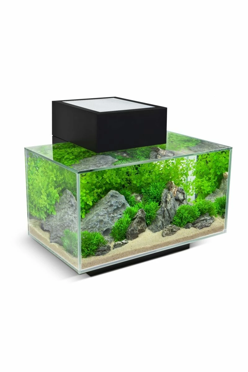 Fluval Edge 2.0 Aquarium 23 Litre - Gloss Black 3 Fluval Edge 2.0 Aquarium 23 Litre - Gloss Black