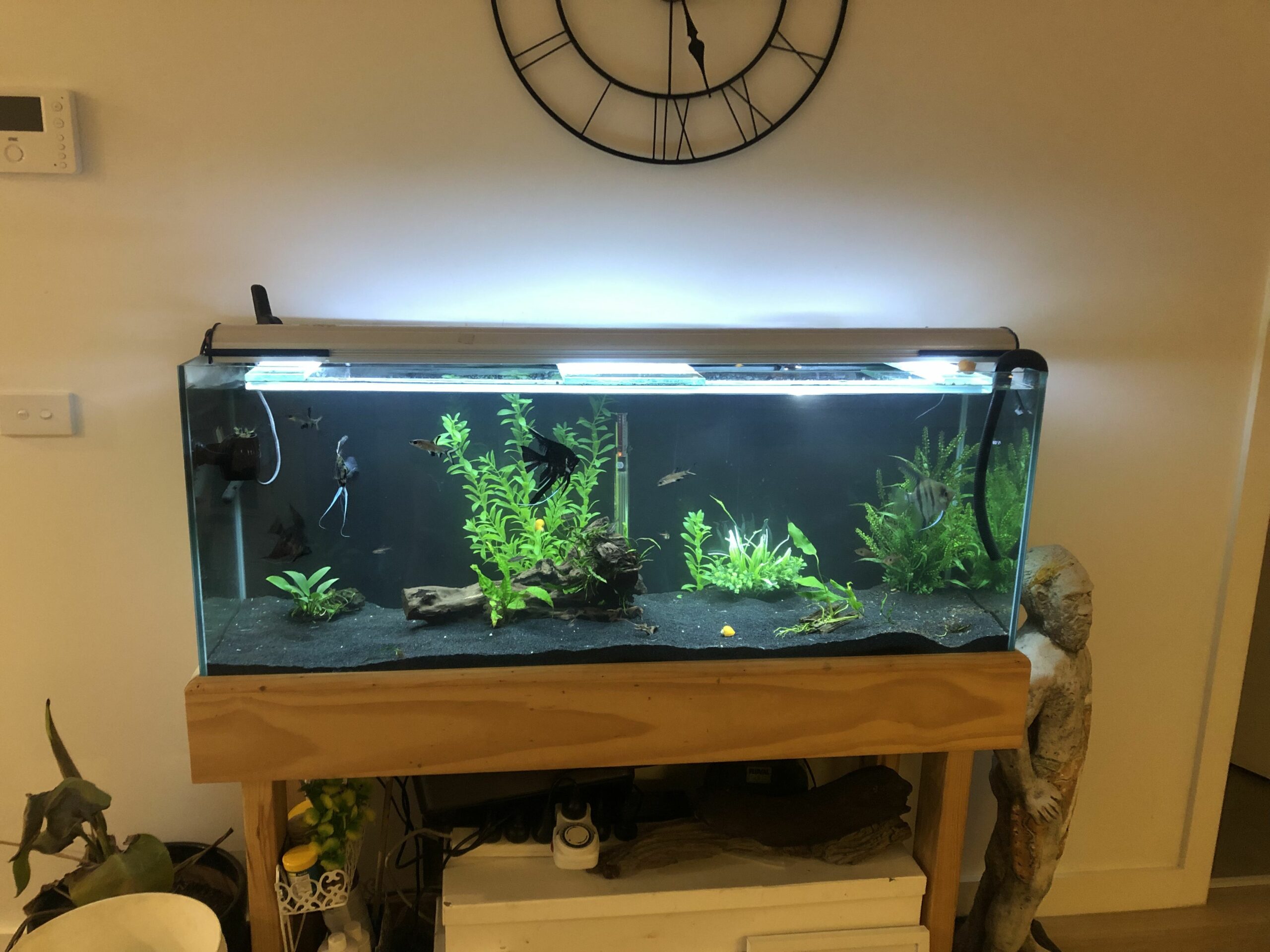 UK Pet Equipment Sales Store 48 UK Pet Equipment Sales Store -UK Pet Equipment Sales Store ec1455acd67e62cbfb3e2b5c37518bde scaled