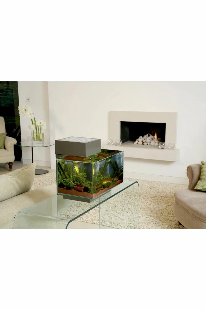 Fluval Edge 2.0 Aquarium 23 Litre - Gloss White 5 Fluval Edge 2.0 Aquarium 23 Litre - Gloss White - Image 3