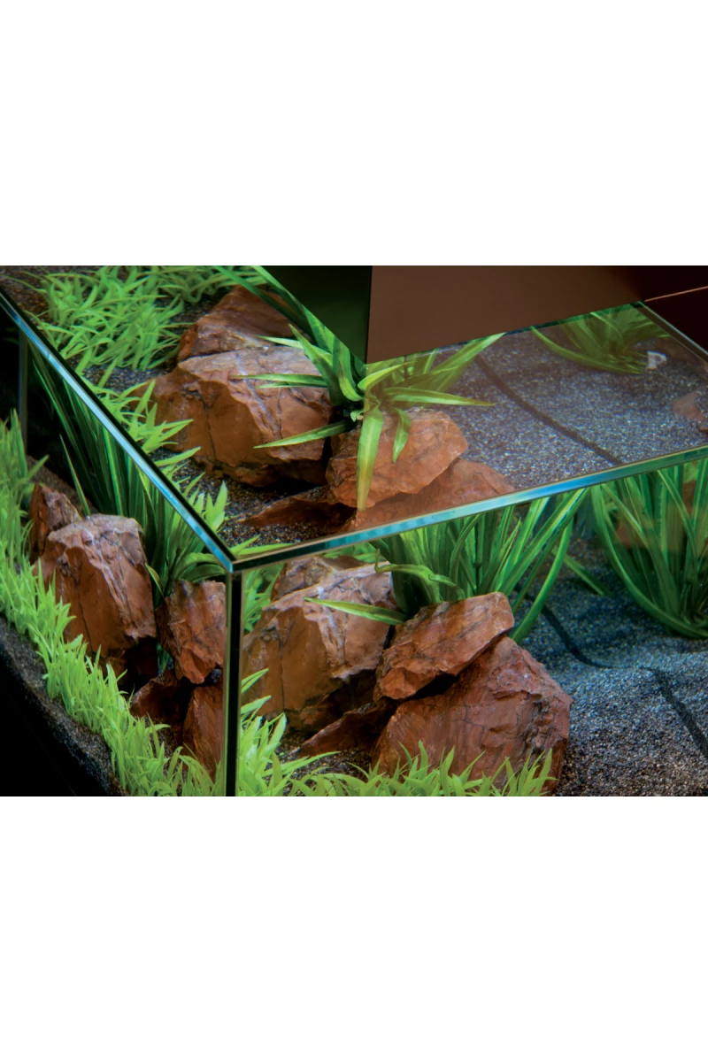 Fluval Edge 2.0 Aquarium 23 Litre - Gloss Black 6 Fluval Edge 2.0 Aquarium 23 Litre - Gloss Black - Image 4