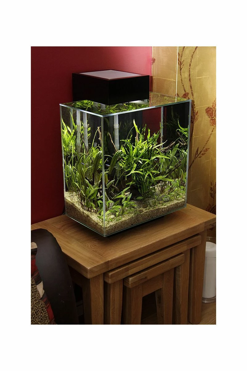 Fluval Edge 2.0 Aquarium 46 Litre - Gloss Black 5 Fluval Edge 2.0 Aquarium 46 Litre - Gloss Black - Image 3