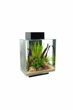 Fluval Edge 2.0 Aquarium 46 Litre - Gloss Black