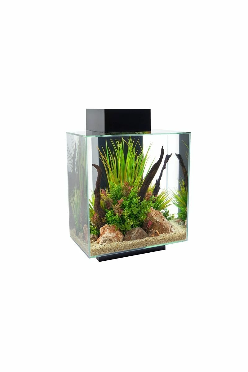 Fluval Edge 2.0 Aquarium 46 Litre - Gloss Black 3 Fluval Edge 2.0 Aquarium 46 Litre - Gloss Black