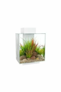 Fluval Edge 2.0 Aquarium 46 Litre - Gloss White