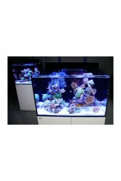 Red Sea Max E-Series E-170 Aquarium - White 11 Red Sea Max E-Series E-170 Aquarium - White -UK Pet Equipment Sales Store eseries 1