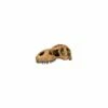 Exo Terra T-Rex Skull (PT2859) -UK Pet Equipment Sales Store et trex