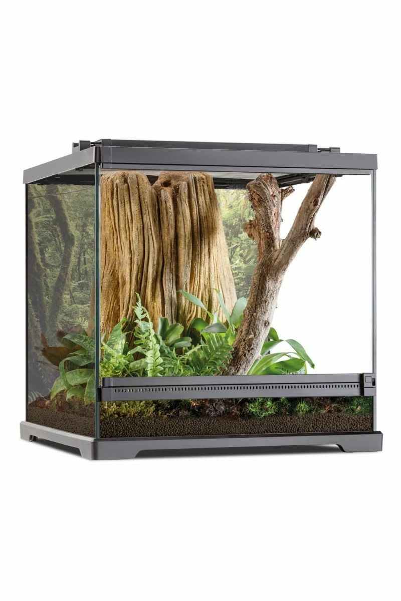 Exo Terra Dart Frog Glass Terrarium 45x45x45cm 3 Exo Terra Dart Frog Glass Terrarium 45x45x45cm