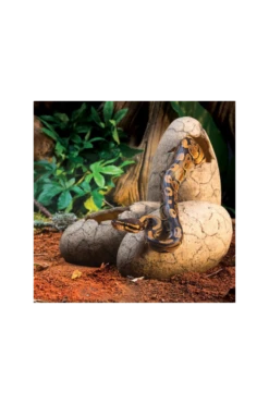 Exo Terra Dinosaur Eggs (PT2841) -UK Pet Equipment Sales Store exo terra dinosaur eggs