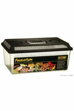 Spider Starter Kit (Exo Terra Faunarium 18" X 12" X 6.5")