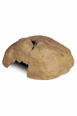 Exo Terra Reptile Hide Out Cave - Extra Large PT2854