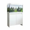 Fluval Roma 125 LED Aquarium & Cabinet (White) 1 Fluval Roma 125 LED Aquarium & Cabinet (White) -UK Pet Equipment Sales Store fluval roma 125 white setup