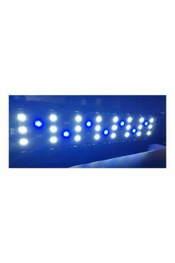 Fluval Sea EVO 52L Aquarium Kit -UK Pet Equipment Sales Store fluval sea all led