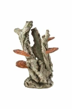OASE BiOrb Fungus On Bark Ornament