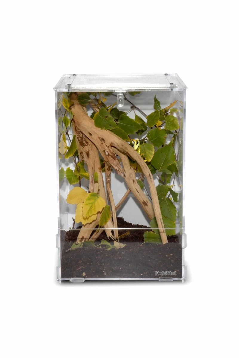 Habistat Acrylic Clear Home - Large 5 Habistat Acrylic Clear Home - Large - Image 3